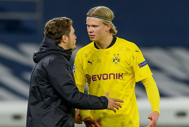 适配评估 适配评估