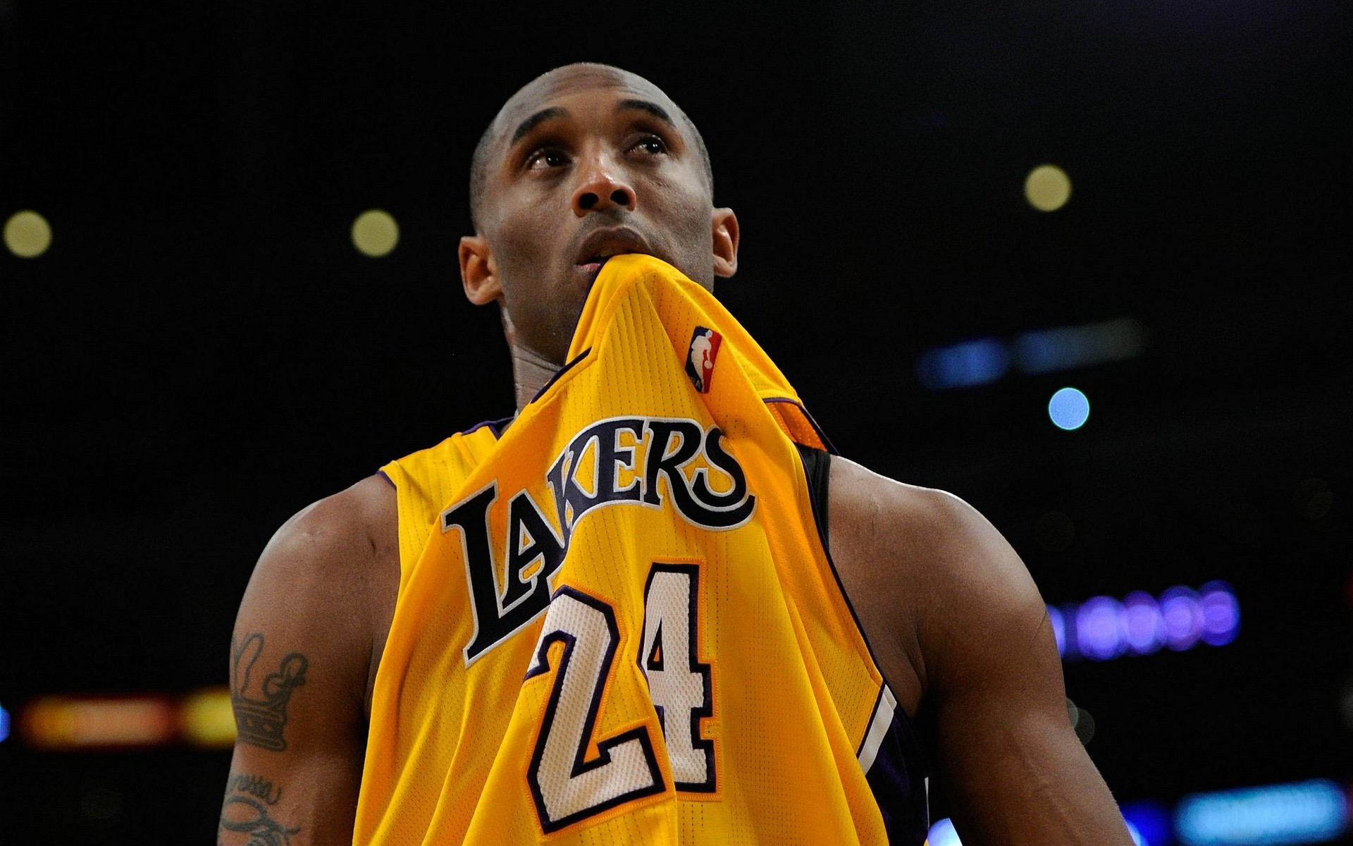 选英文主转 选英文主转