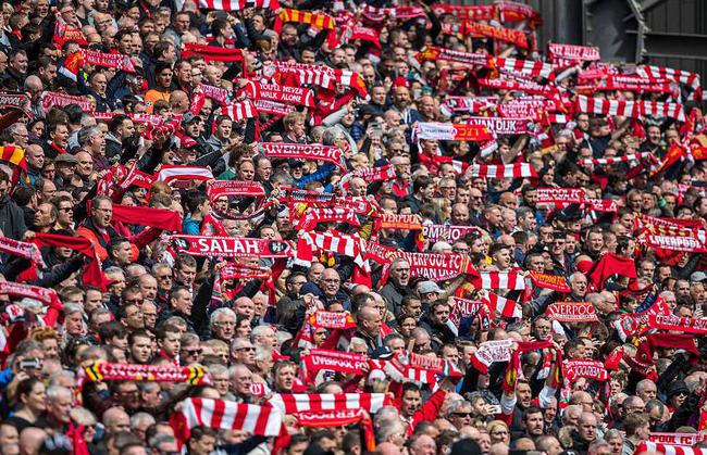 张的结构 张的结构